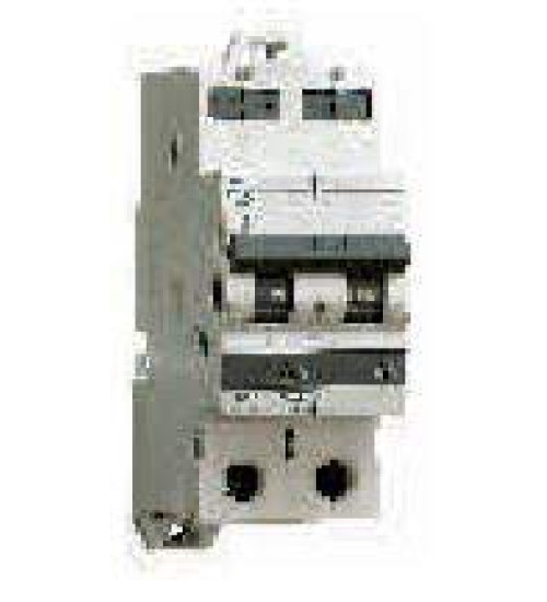 AU10Q20063C - 6A 2P 10kA Curve-C Exora MCB - L&T