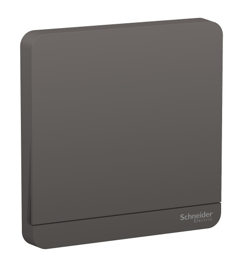 E8331L1LED_DG_G8 - 16AX 250V 1 Gang 1 Way Switch with LED Indicator | Schneider Electric