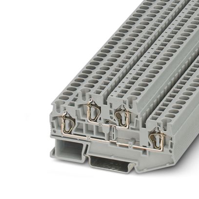 3031429