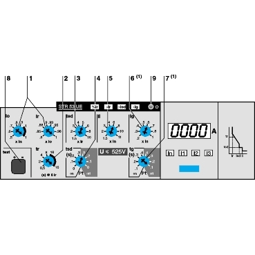 32442