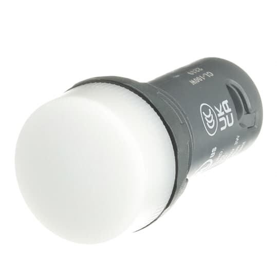 CL-100W