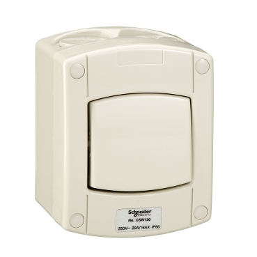 CSW120-GY-EX