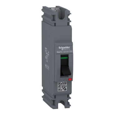 EZC100H1100