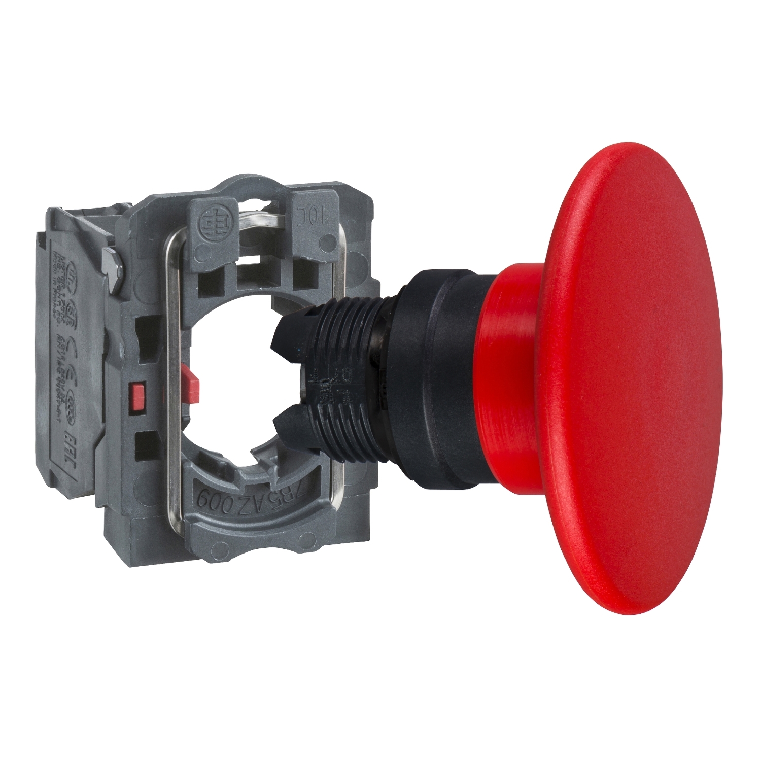 XB5AR42N