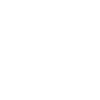 Delivery Van